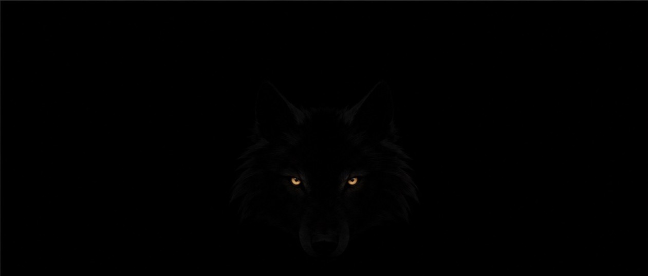 THE WOLF — a real wolf's head in shadow on pure black, only its amber eyes shining